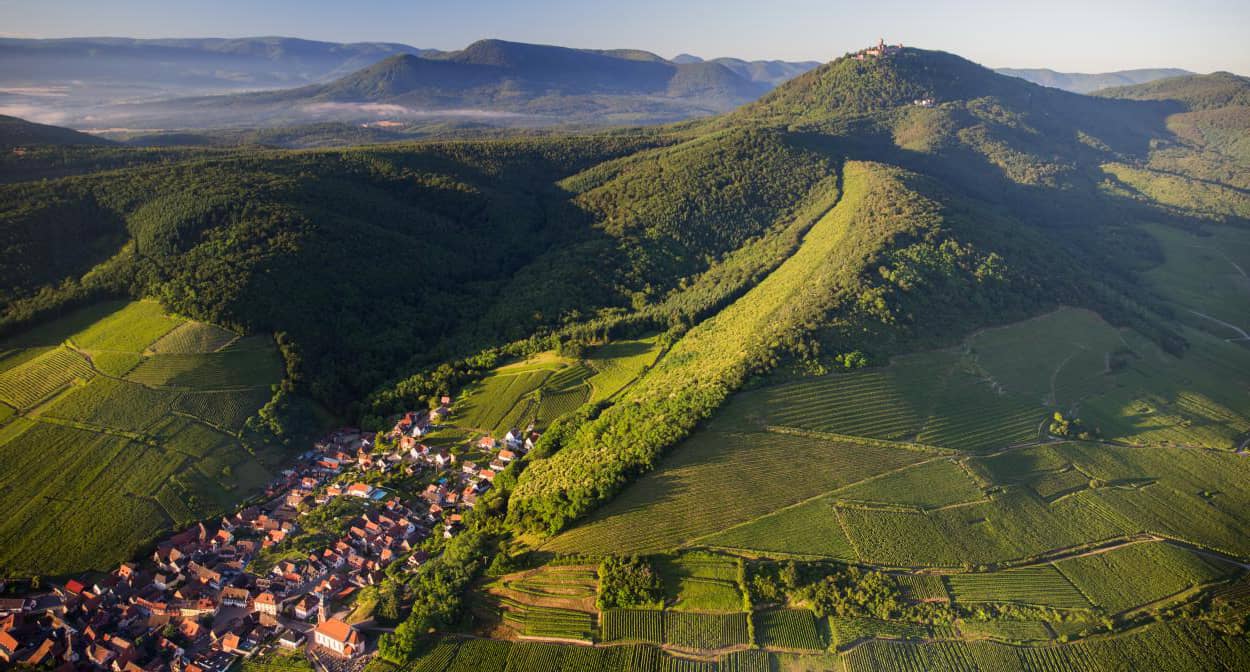 Investir dans un Groupement Foncier Viticole Alsace en ligne avec le Gestionnaire de patrimoine CIF