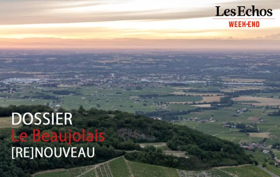 Dossier Les Echos GFV Beaujolais ReNouveau 2 (1)