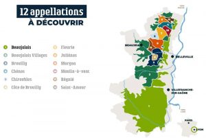 GFV Beaujolais 12 Appellations pour investir plaisir terroir en ligne 2 (1)