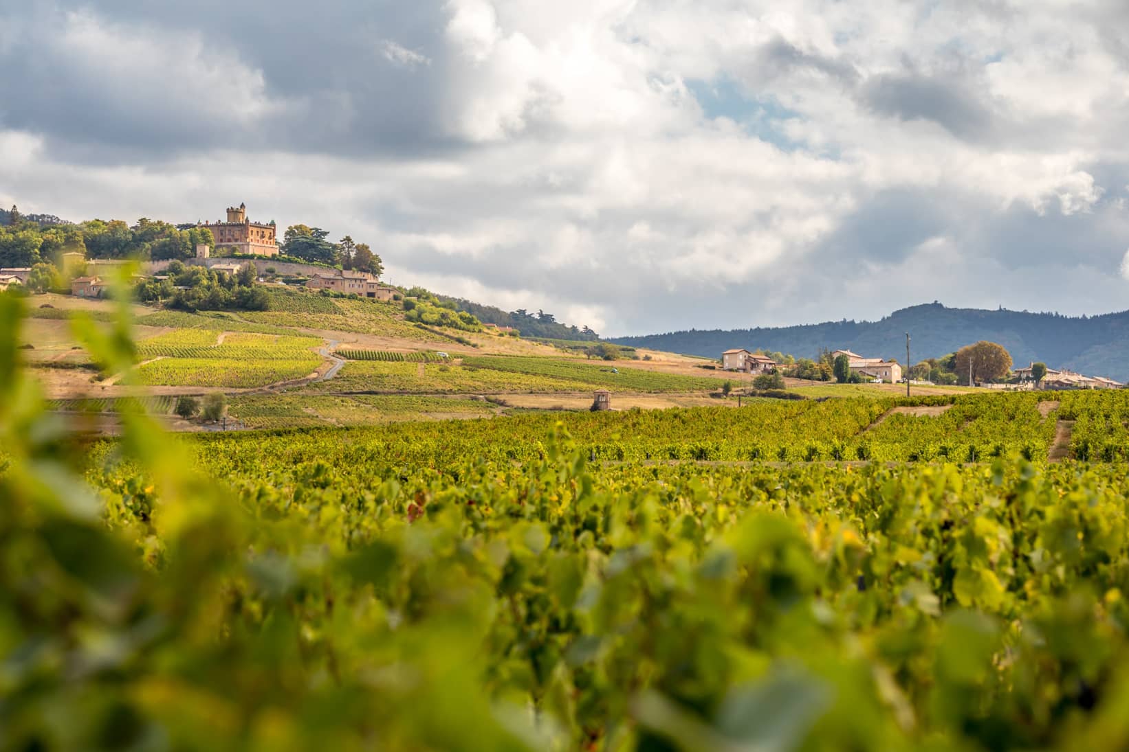 Investissement vignobles Beaujolais Rhone-des-airs-de-toscane (1)