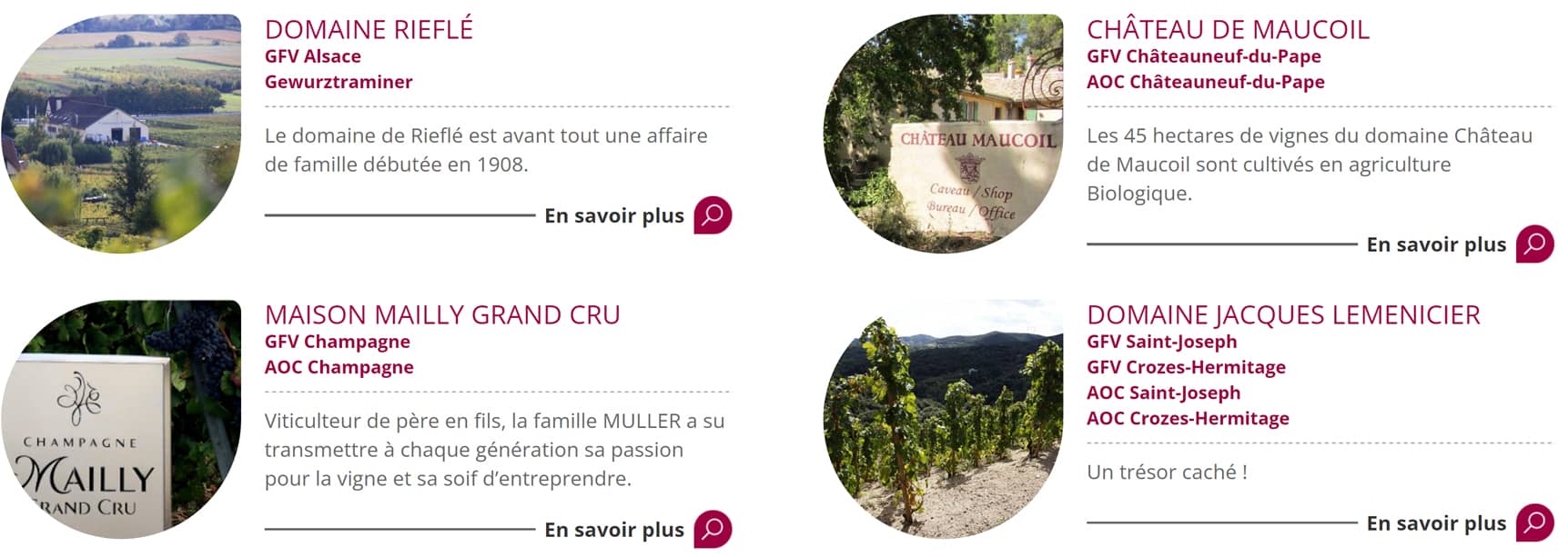 Les réalisations en matière investissements viticoles de Bacchus Conseil en France 1