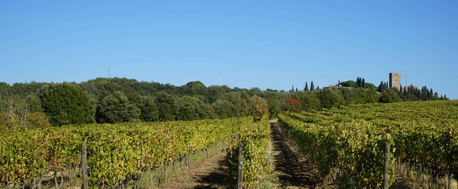 Investir dans vins exception grands crus France Monde (1)