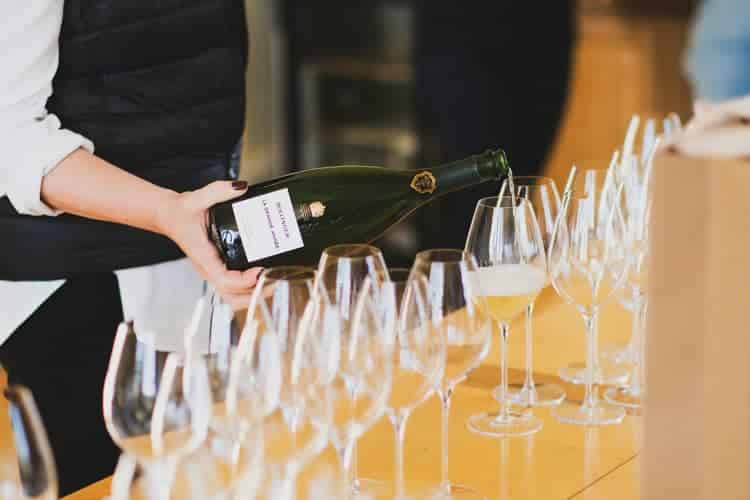 Investir dans une parcelle de vigne en Champagne(1)